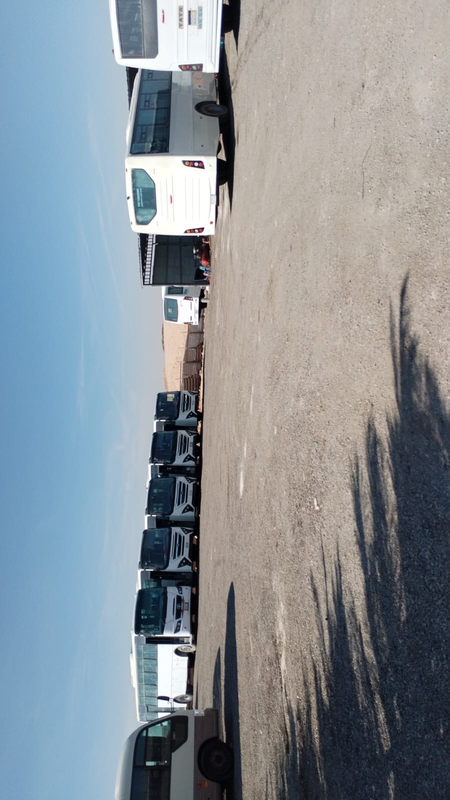 main.affordable_bus_rental