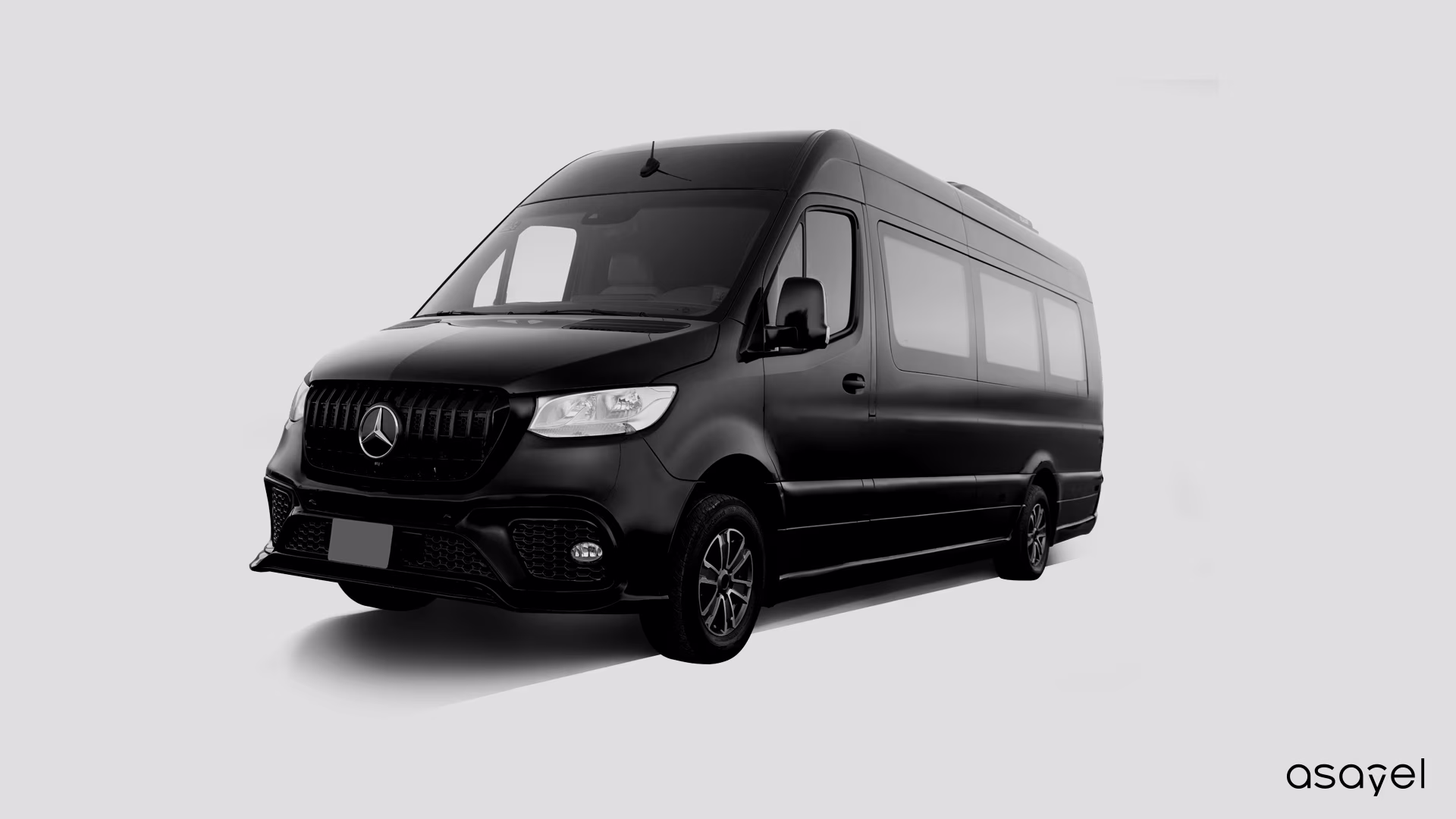 Mercedes VIP Sprinter Van - (20 Passengers)