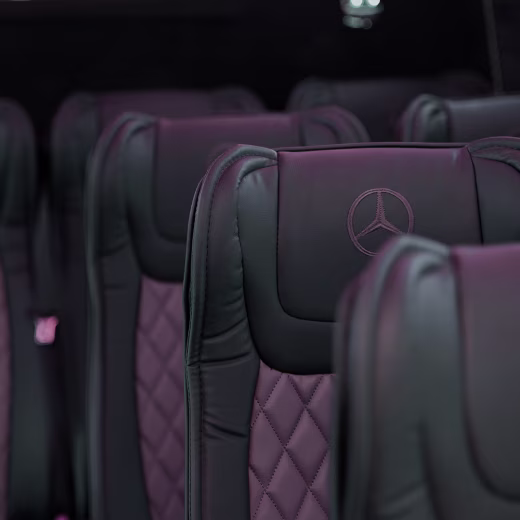 Mercedes VIP Sprinter Van - (15 Passengers)