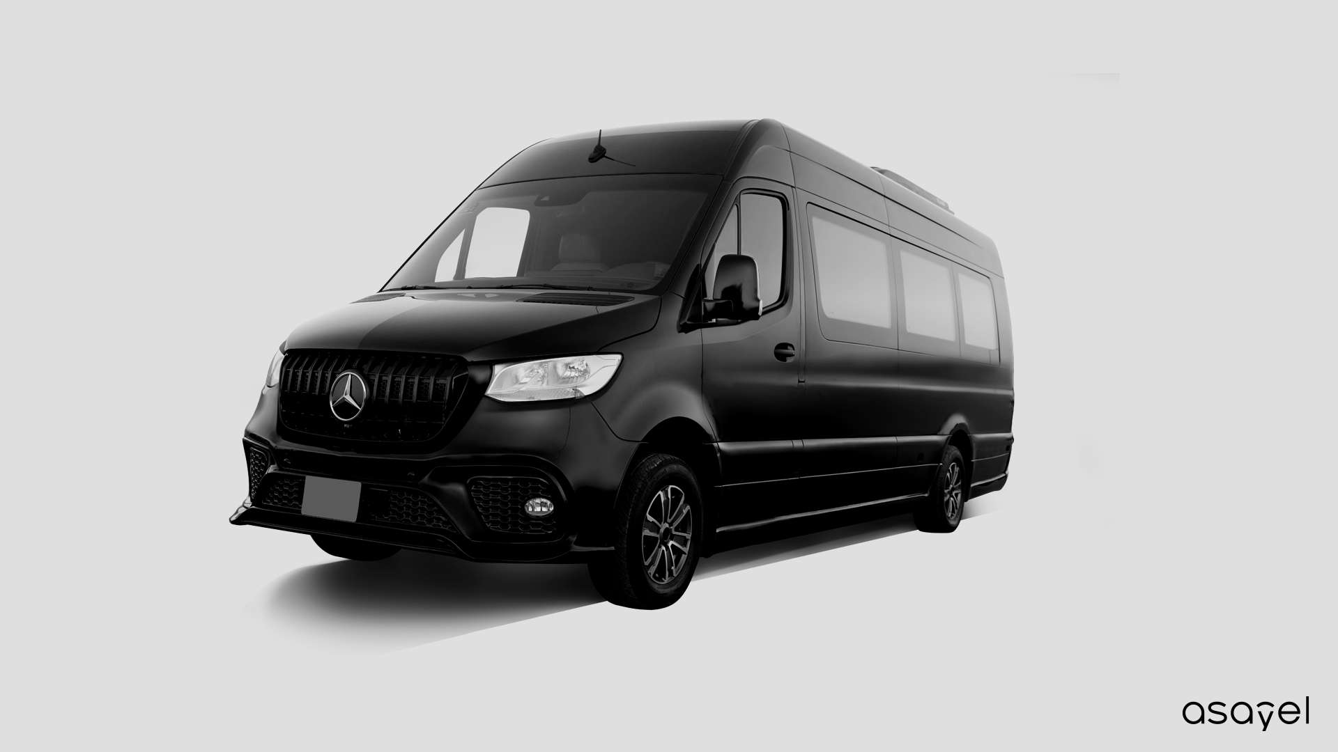 Mercedes VIP Sprinter Van - (20 Passengers)